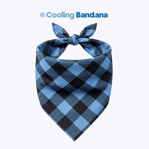 PolarPaw Cooling Bandana