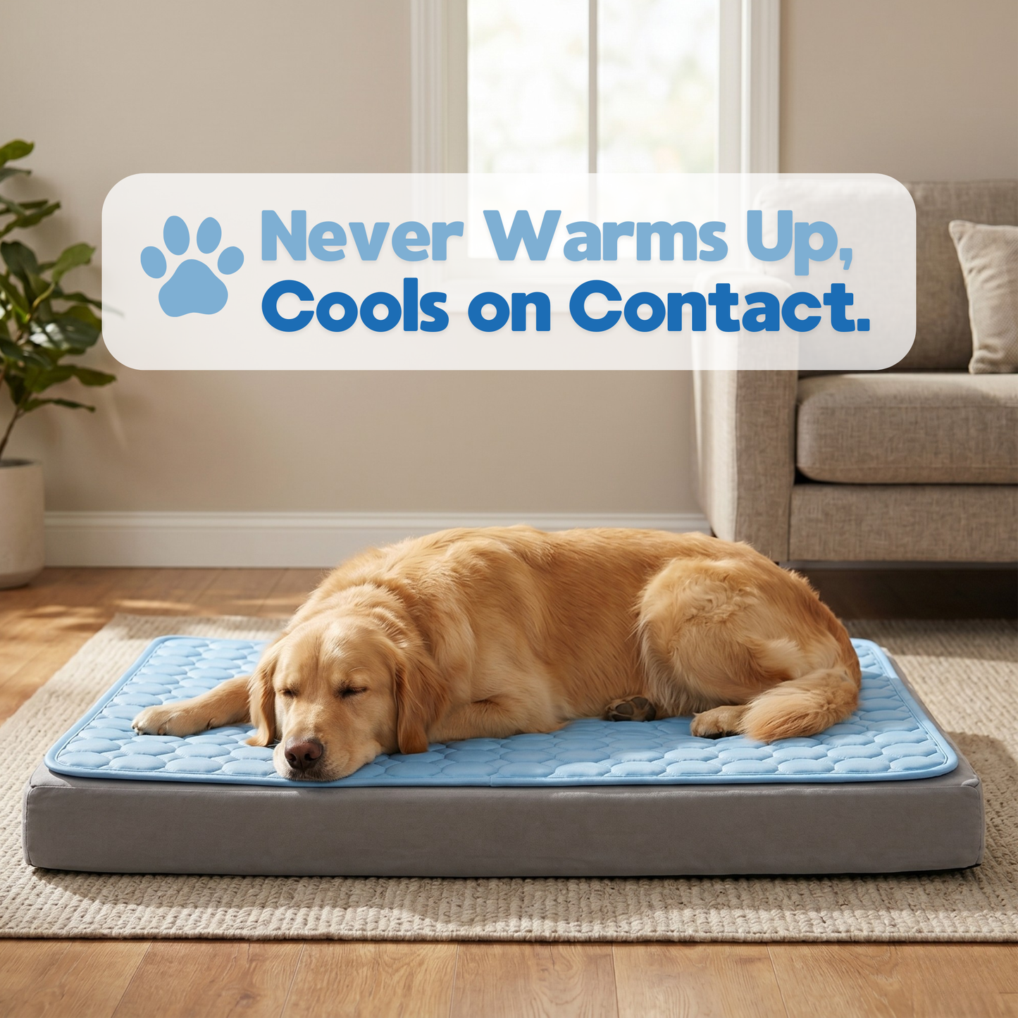 Your Dog Cools Through Their Belly - So That's Where This Mat Goes
