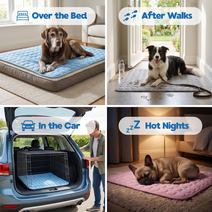 Your Dog Cools Through Their Belly - So That's Where This Mat Goes